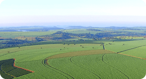 Transformamos terras com responsabilidade ambiental - Alatá Capital – Transformamos terras.  Geramos valor.  Construímos futuro.