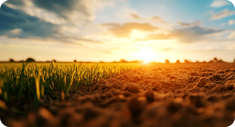 Valor Econômico Sustentável Rentabilidade com propósito - Alatá Capital – Transformamos terras.  Geramos valor.  Construímos futuro.